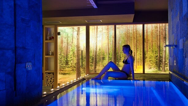 Una persona sentada junto a una piscina con vista a un bosque a través de amplios ventanales.