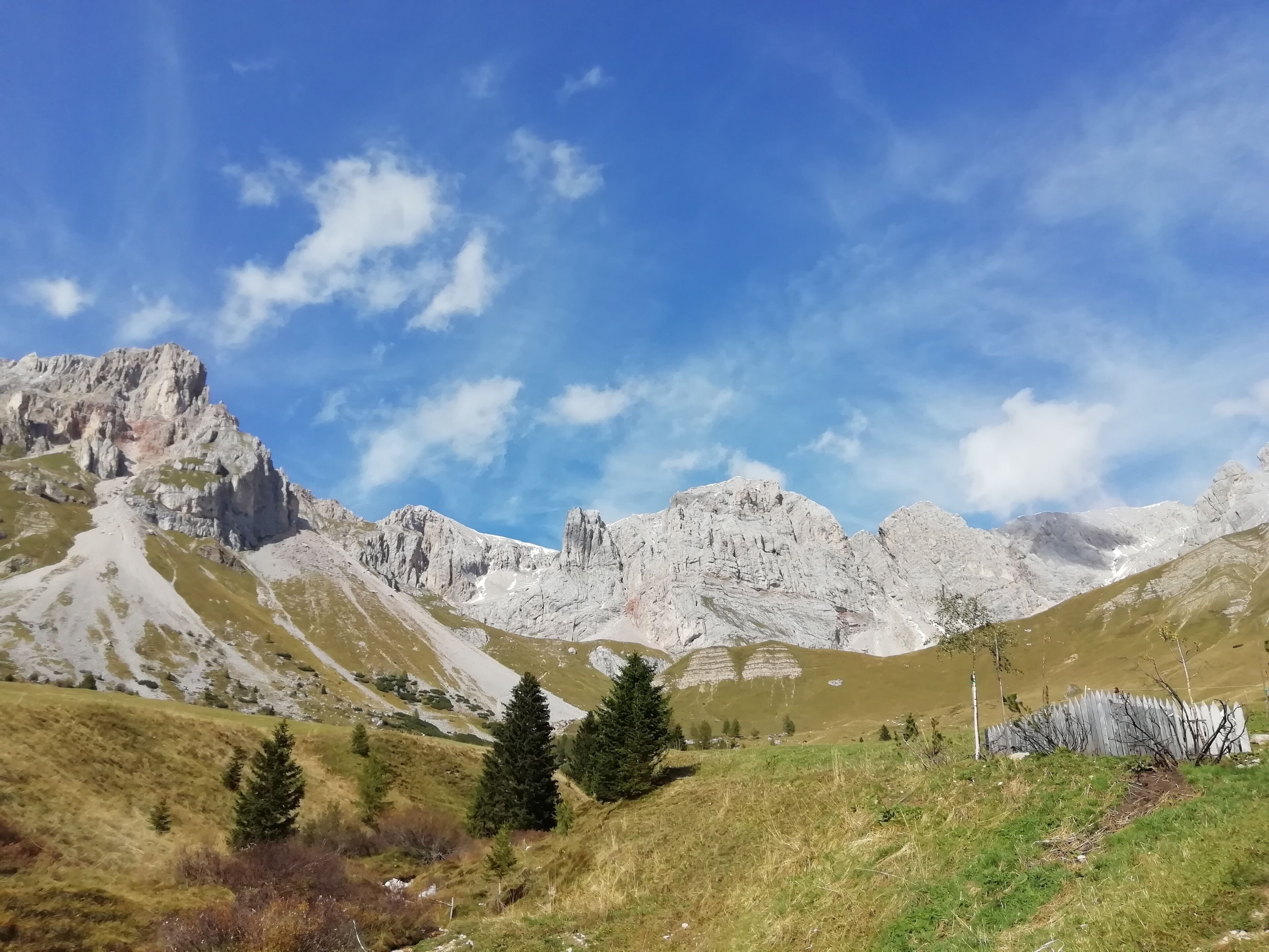 Severdighet