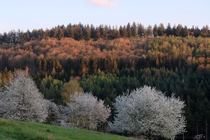 Näkymä parvekkeelta