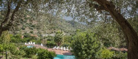 A pool area with lounge chairs, surrounded by trees and hills in the background.