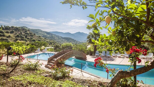 A pool with a bridge, surrounded by greenery and mountains. - Agriturismo Bergi (Castelbuono)