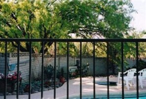 View from property - Bed and Bagels of Tucson (Tucson)