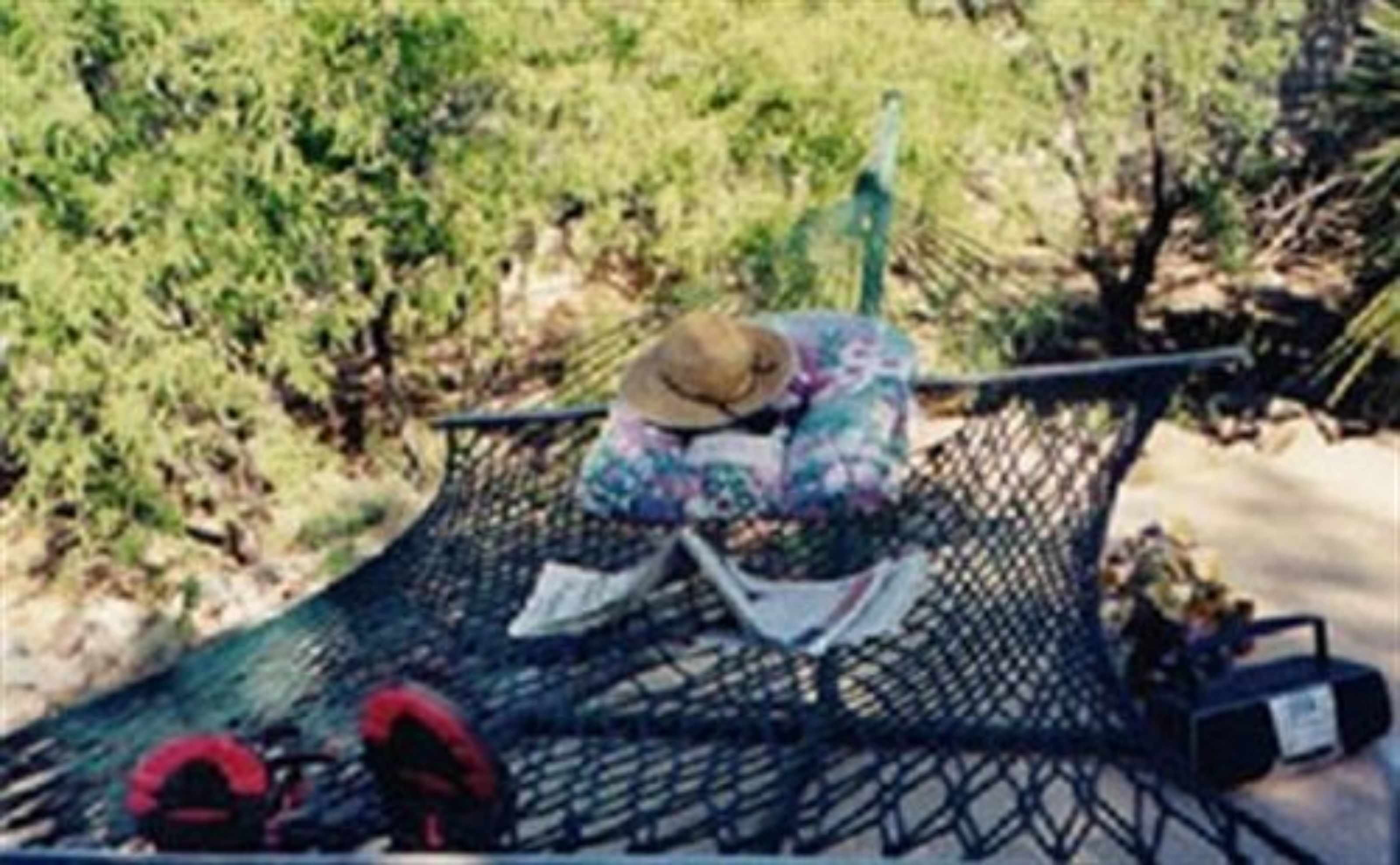 A hammock with a person lying in it, surrounded by greenery.