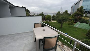 Habitación doble ejecutiva | Terraza o patio
