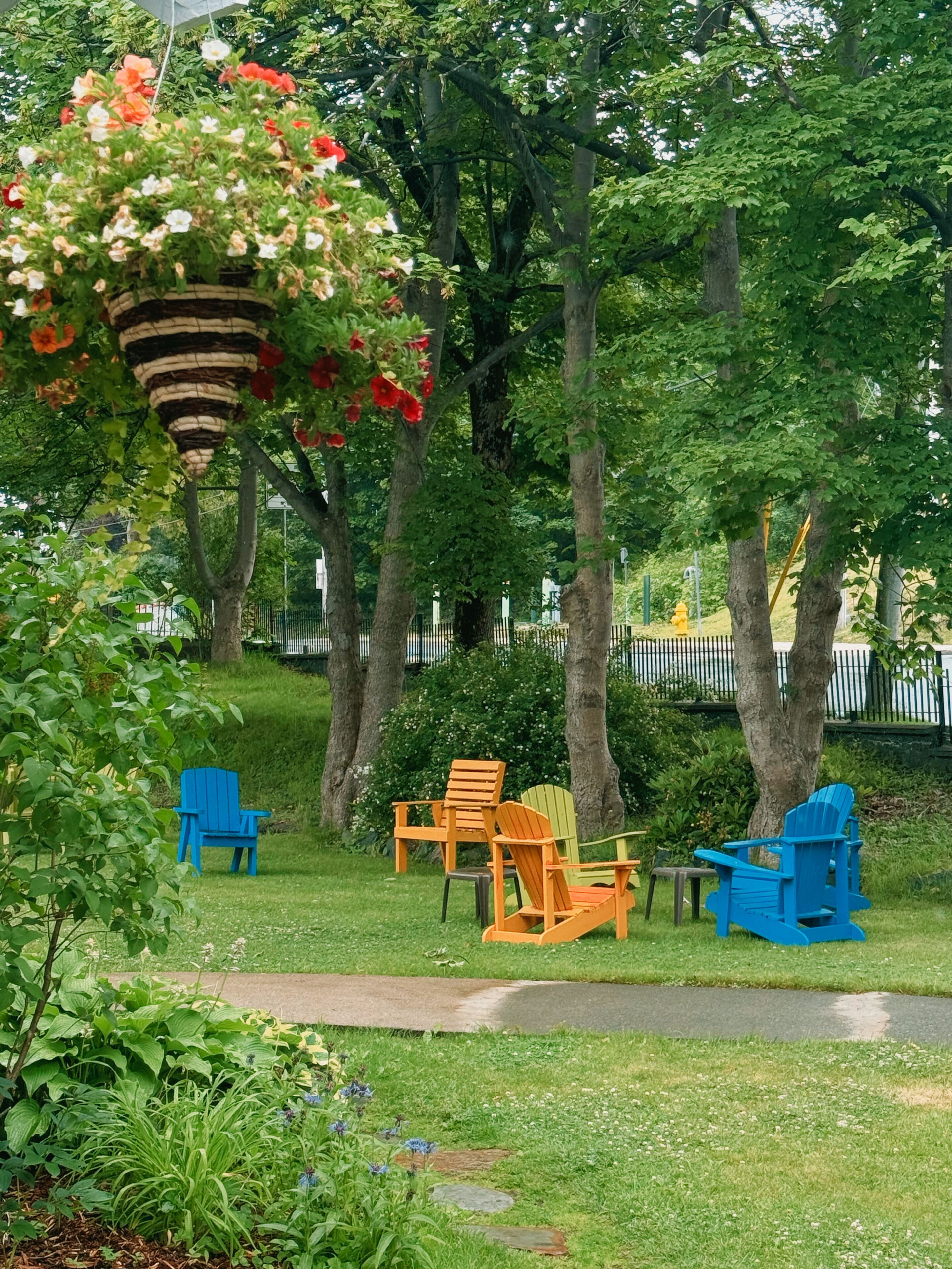 A garden with trees, a hanging flower basket, and outdoor seating with chairs.