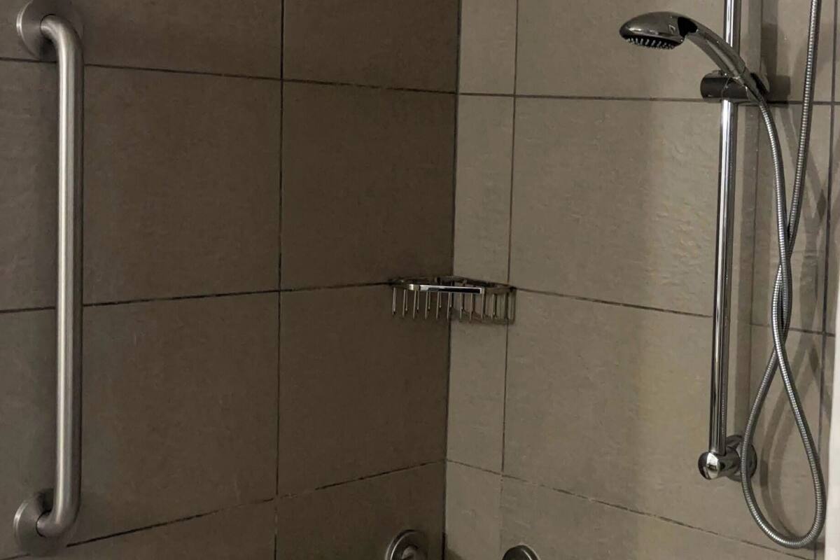 room, 1 king bed, accessible, non smoking | bathroom | combined shower/bathtub, eco-friendly toiletries, hair dryer, towels