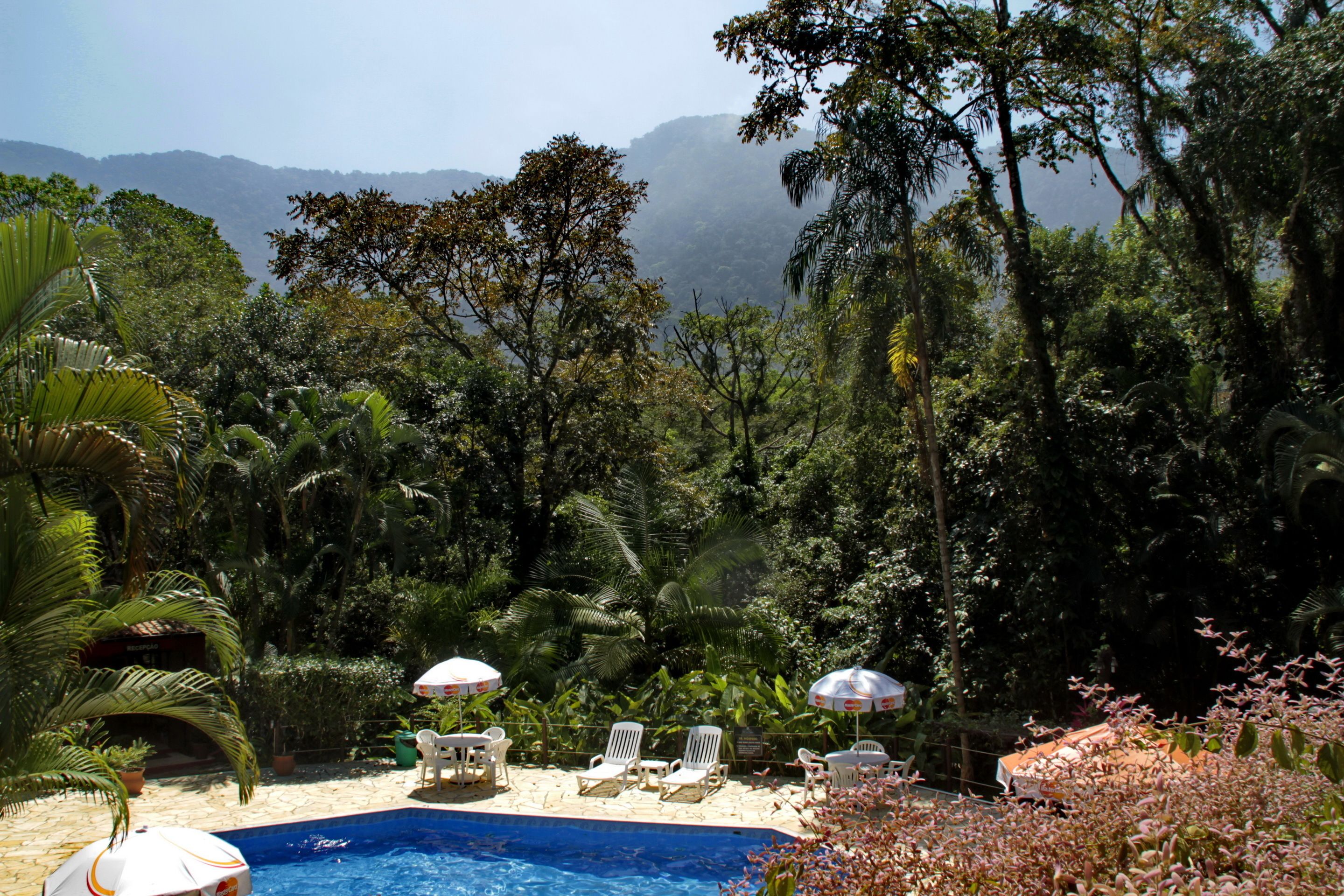 A pool area with lounge chairs and umbrellas, surrounded by lush greenery and mountains in the background.