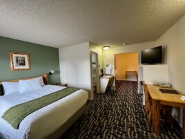 Una habitación de hotel con cama, escritorio, televisor y baño.