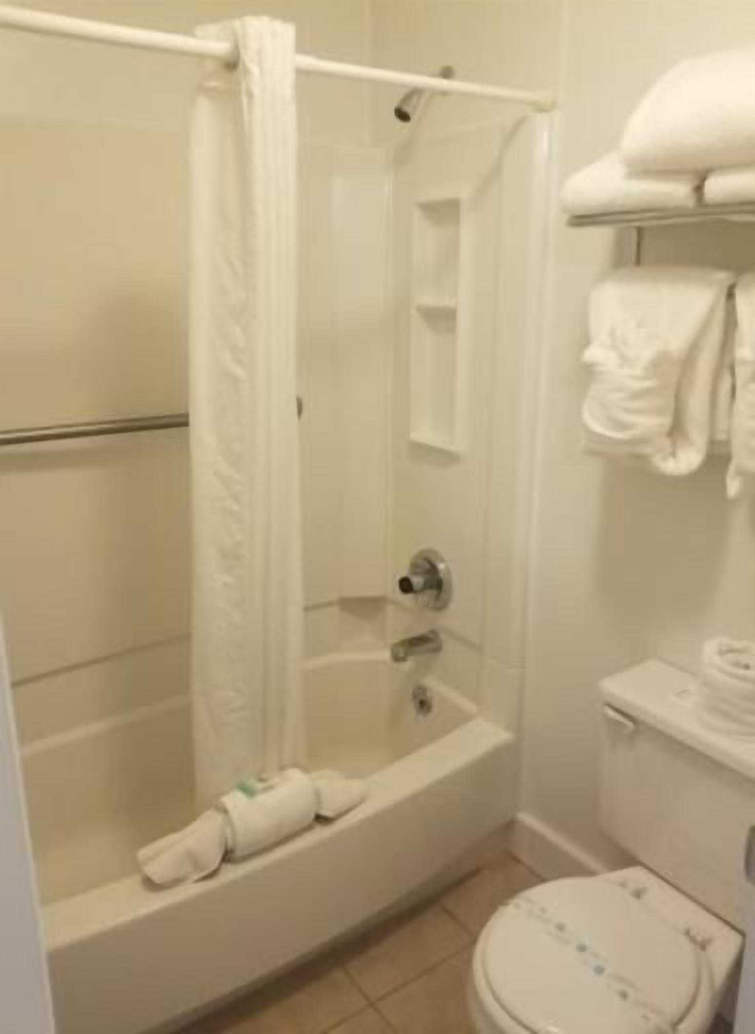 combined shower/bathtub, hair dryer, towels