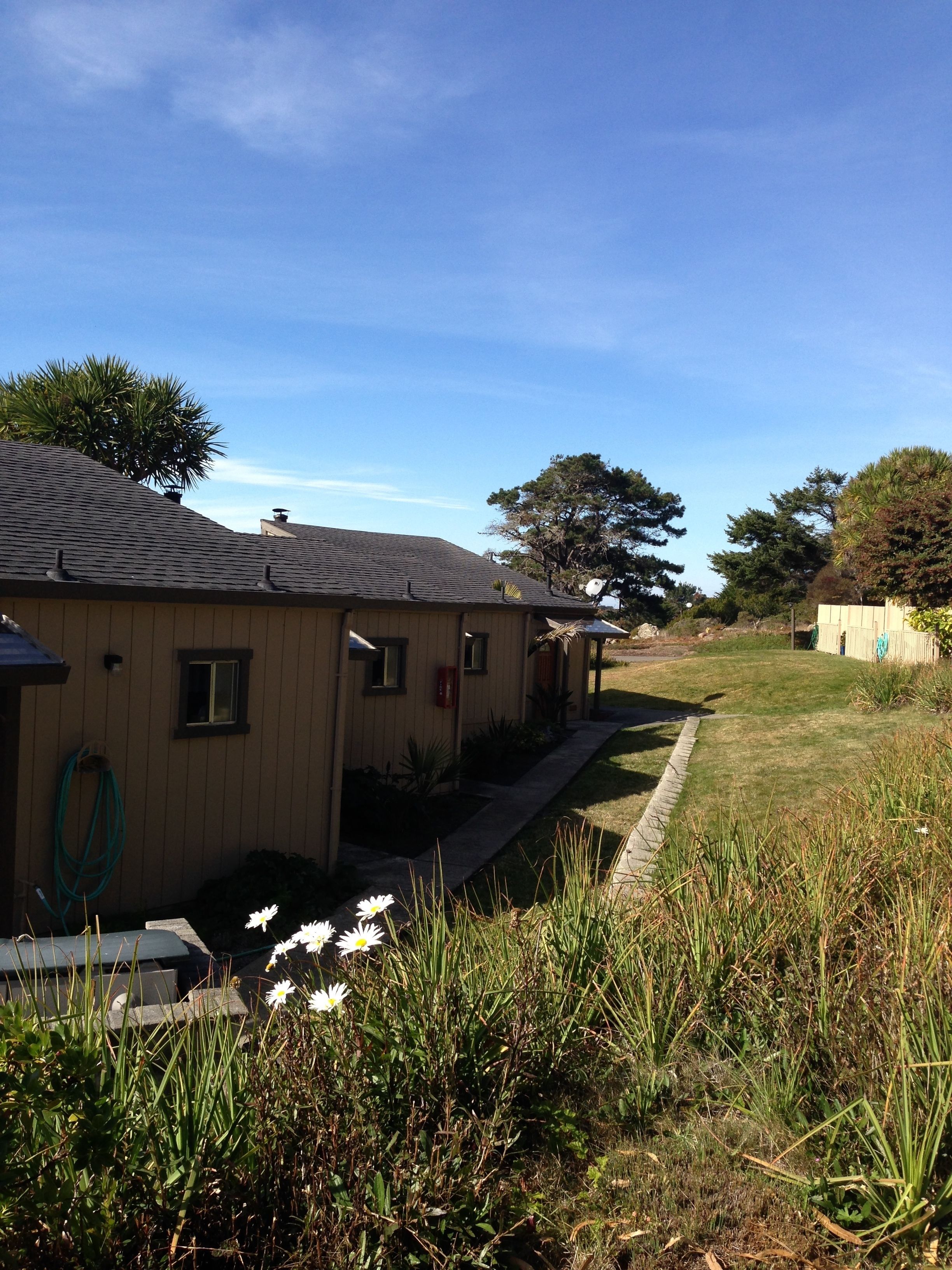 A single-story building with a sloped roof, a small porch, and a garden area with grass and plants.