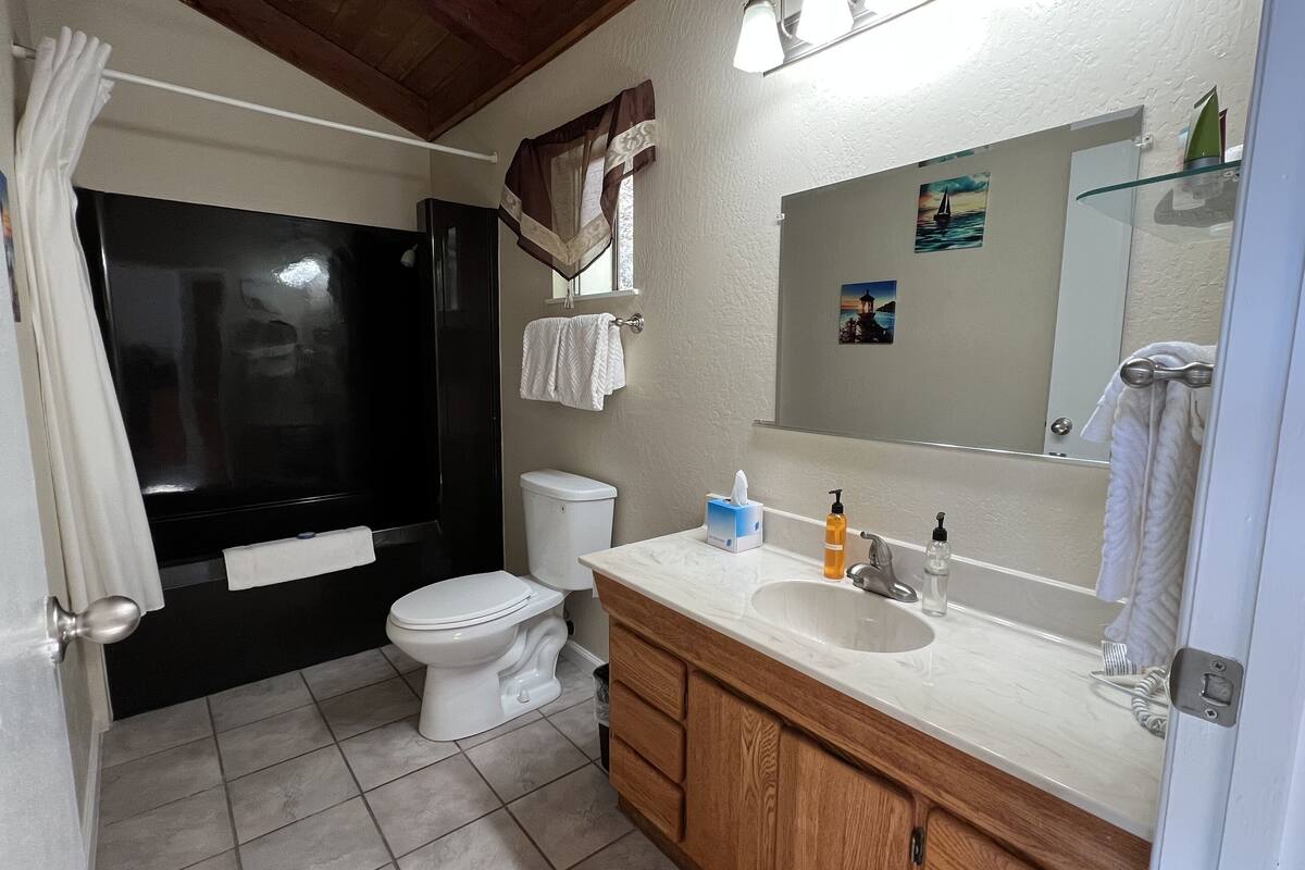 standard room, 1 king bed, fireplace | bathroom | combined shower/bathtub, free toiletries, hair dryer, towels