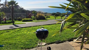 A backyard with a barbecue grill, a palm tree, and a view of the ocean.
