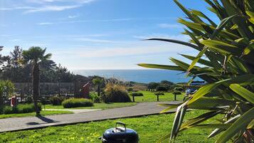 Standard Room, 1 Queen Bed, Fireplace, Ocean View | Terrace/patio