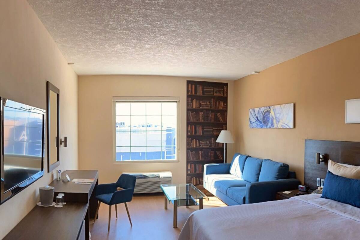 Habitación de hotel con una cama grande, un sofá, un escritorio y una estantería.