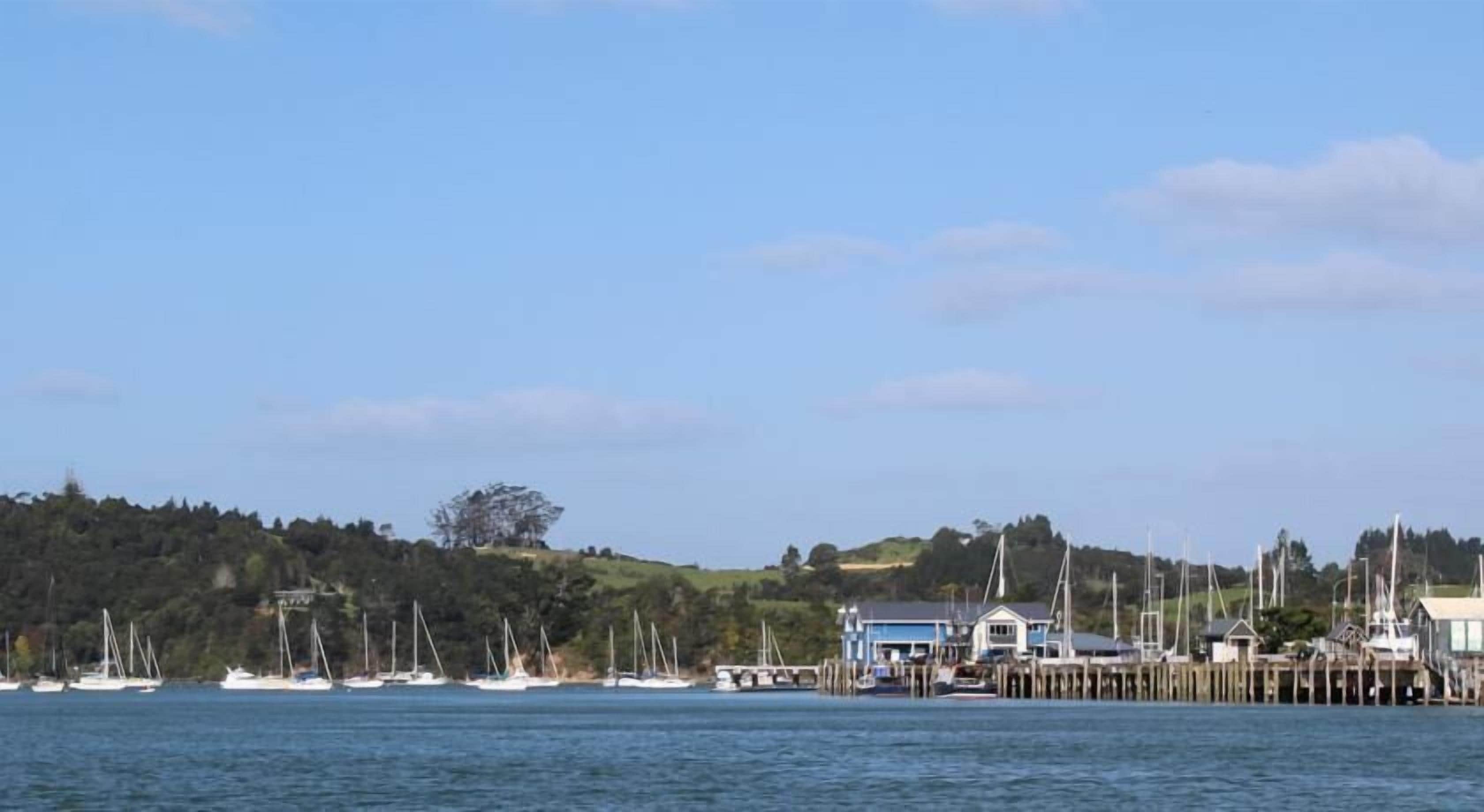 A waterfront area with multiple sailboats docked near a pier.