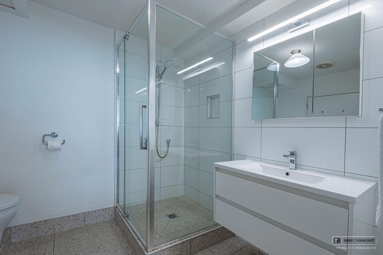 Un baño moderno con ducha de vidrio, un lavamanos blanco y un espejo sobre el lavamanos.