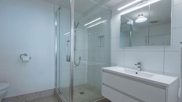 A modern bathroom with a glass-enclosed shower, a white sink, and a mirror above the sink.