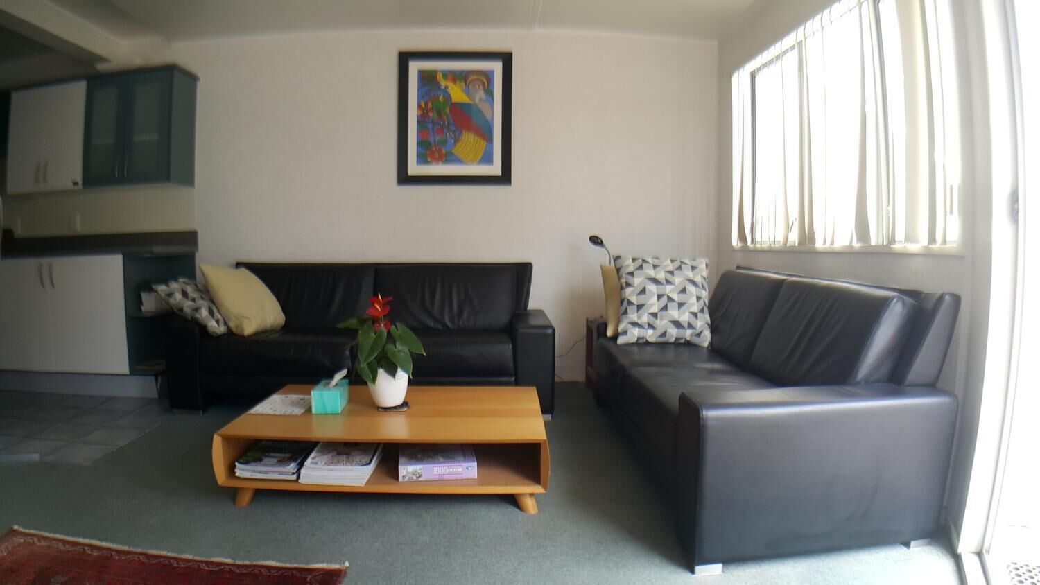 A living room with a sofa, a coffee table with books, a potted plant, and a framed picture on the wall.