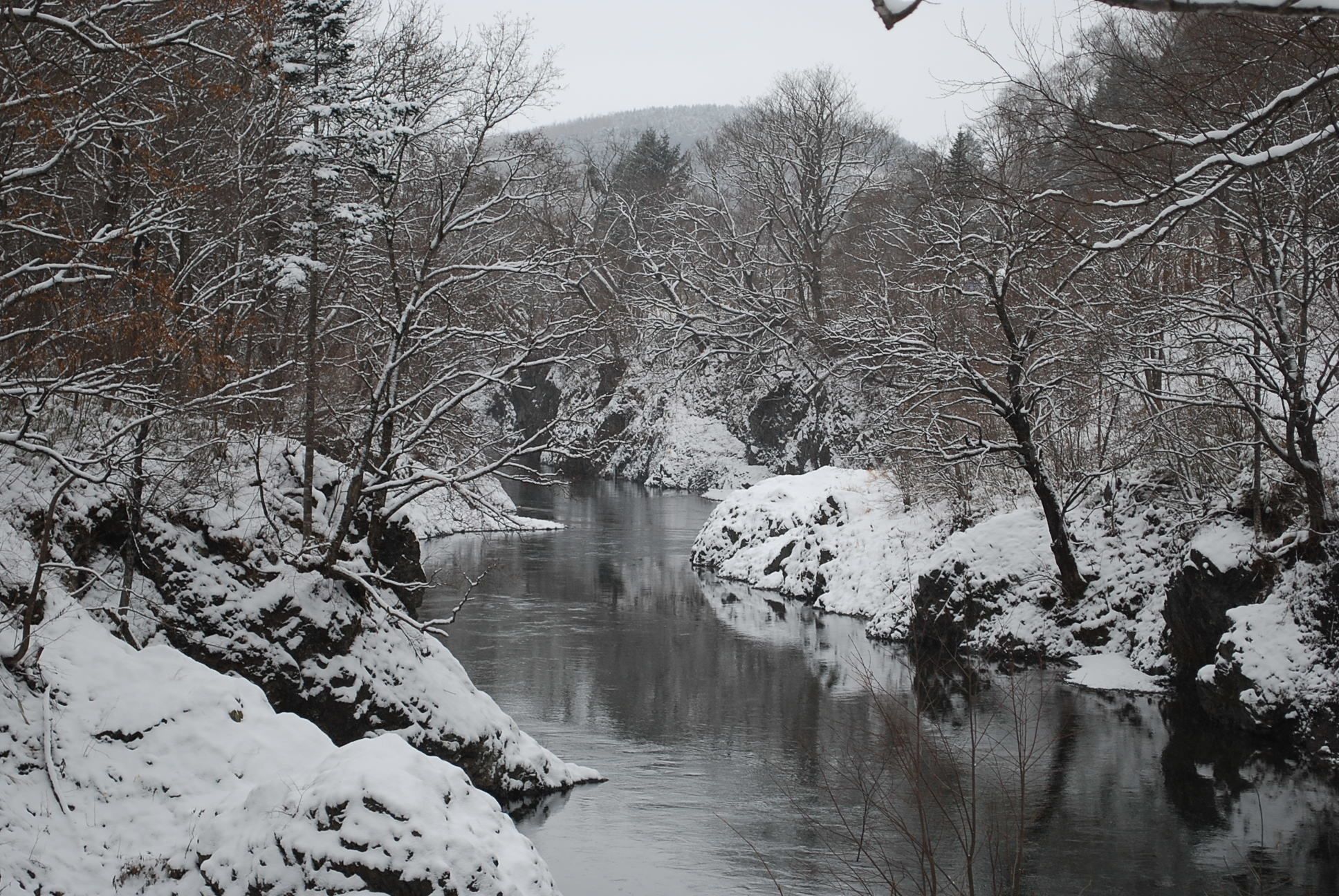 land view from property