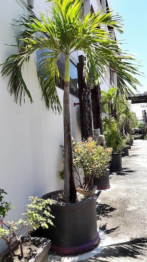 Una hilera de macetas con plantas a lo largo de la pared exterior de un edificio.