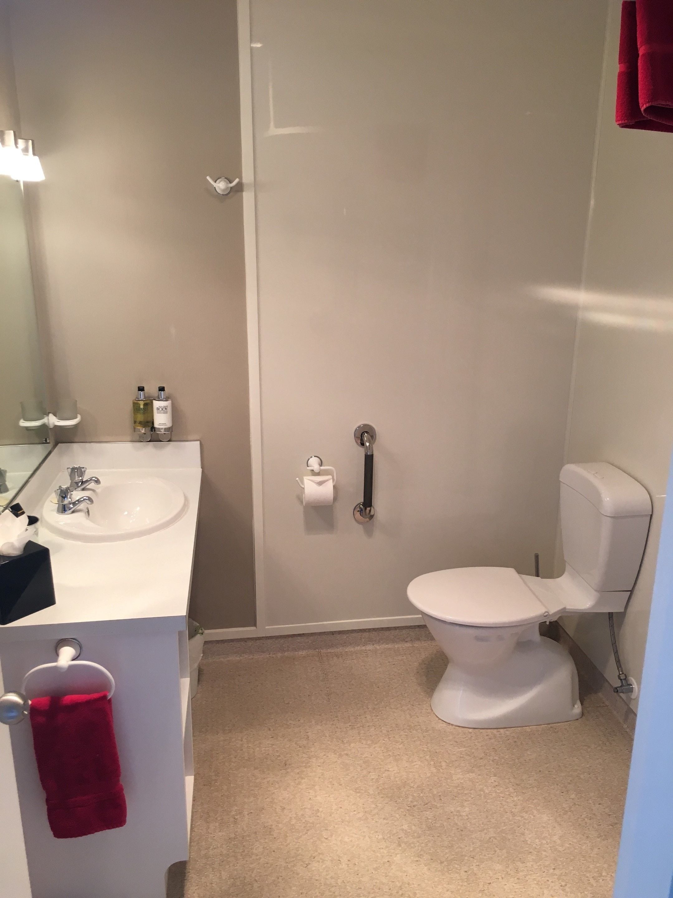 A bathroom with a sink, toilet, and a towel rack with a red towel.