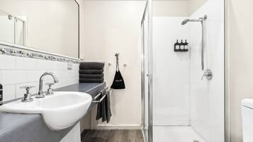 Une salle de bain moderne avec un lavabo blanc, un miroir, une douche équipée d’un pommeau de douche à main et des toilettes.