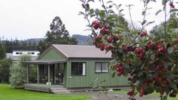 Standard Suite, 1 Bedroom, Non Smoking, Kitchenette (Chalet) | WiFi