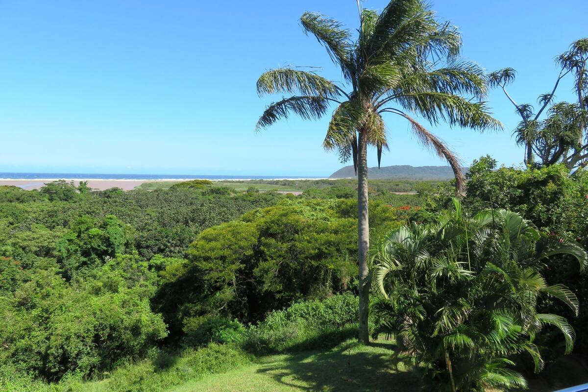A lush landscape with a prominent palm tree, dense greenery, and a distant view of the ocean.