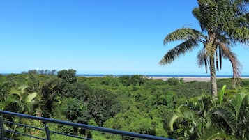 Family Apartment, 3 Bedrooms, Sea View, Sea Facing | Beach/ocean view