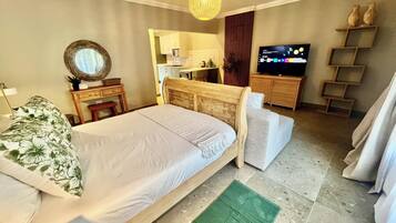 A bedroom with a bed, a television, a small kitchenette, and a bathroom visible through an open door.