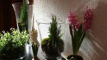 A series of potted plants on a dark countertop against a textured wall.
