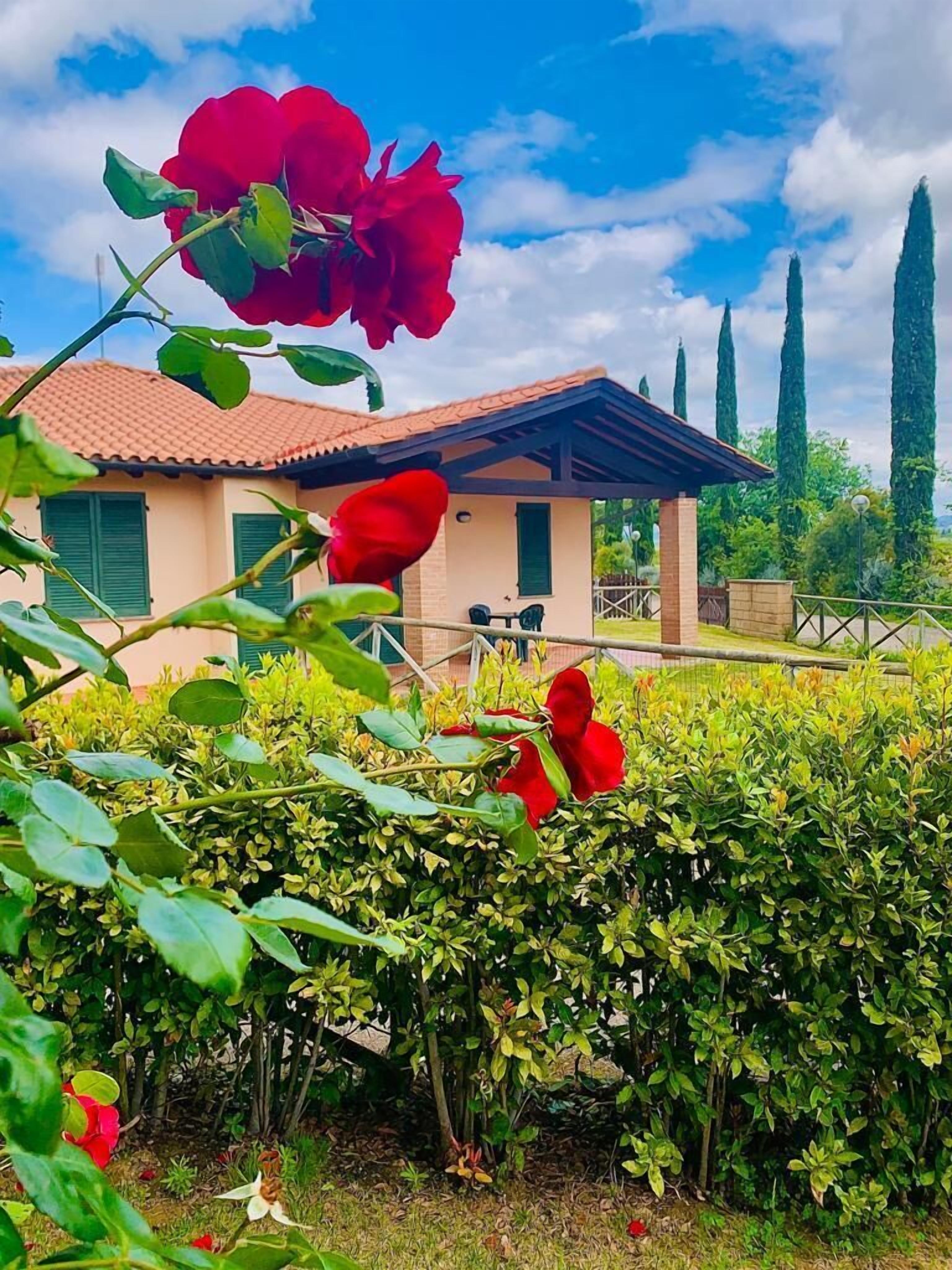 Foto - Casa in Maremma Tuscany Village