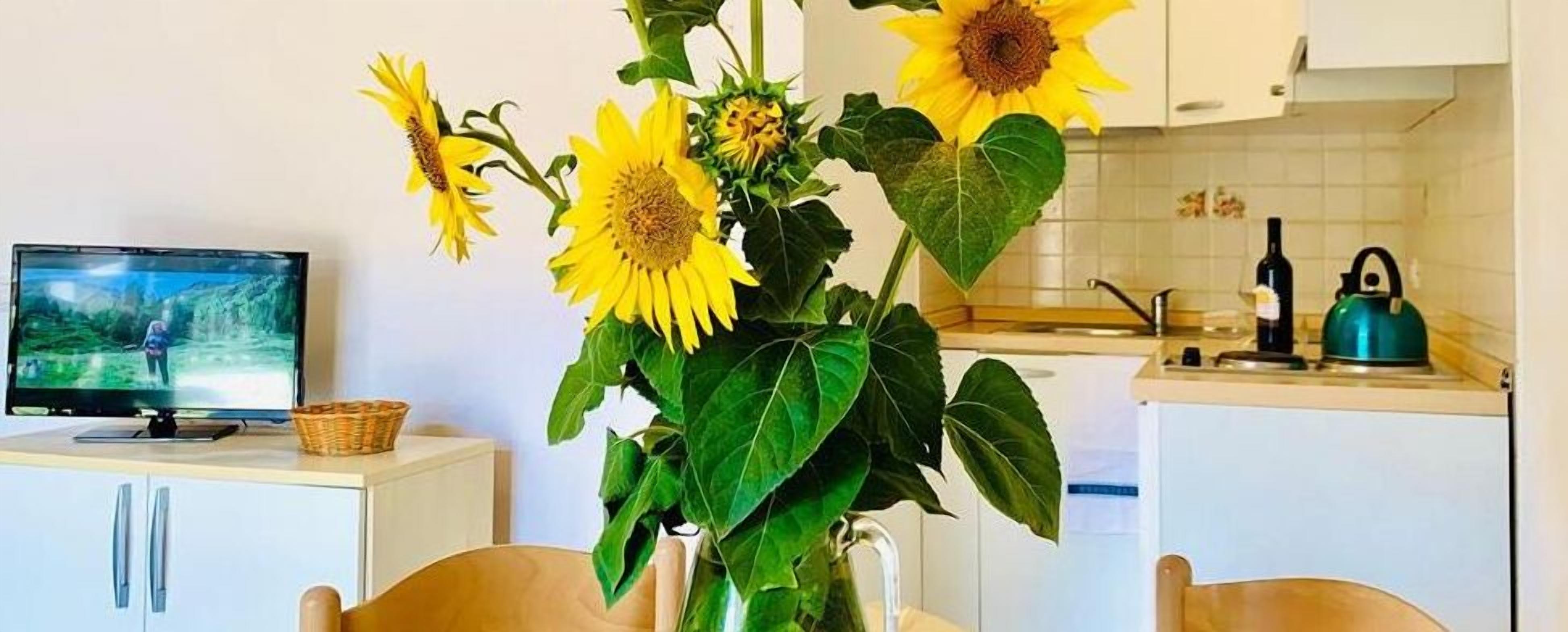 Departamento familiar | Área de sala de estar | Televisión de pantalla plana y tenis de mesa 