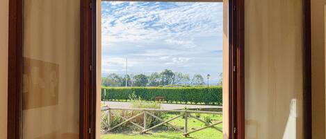 A view through a window with a wooden frame, revealing a well-maintained lawn, a hedge, and a clear sky.