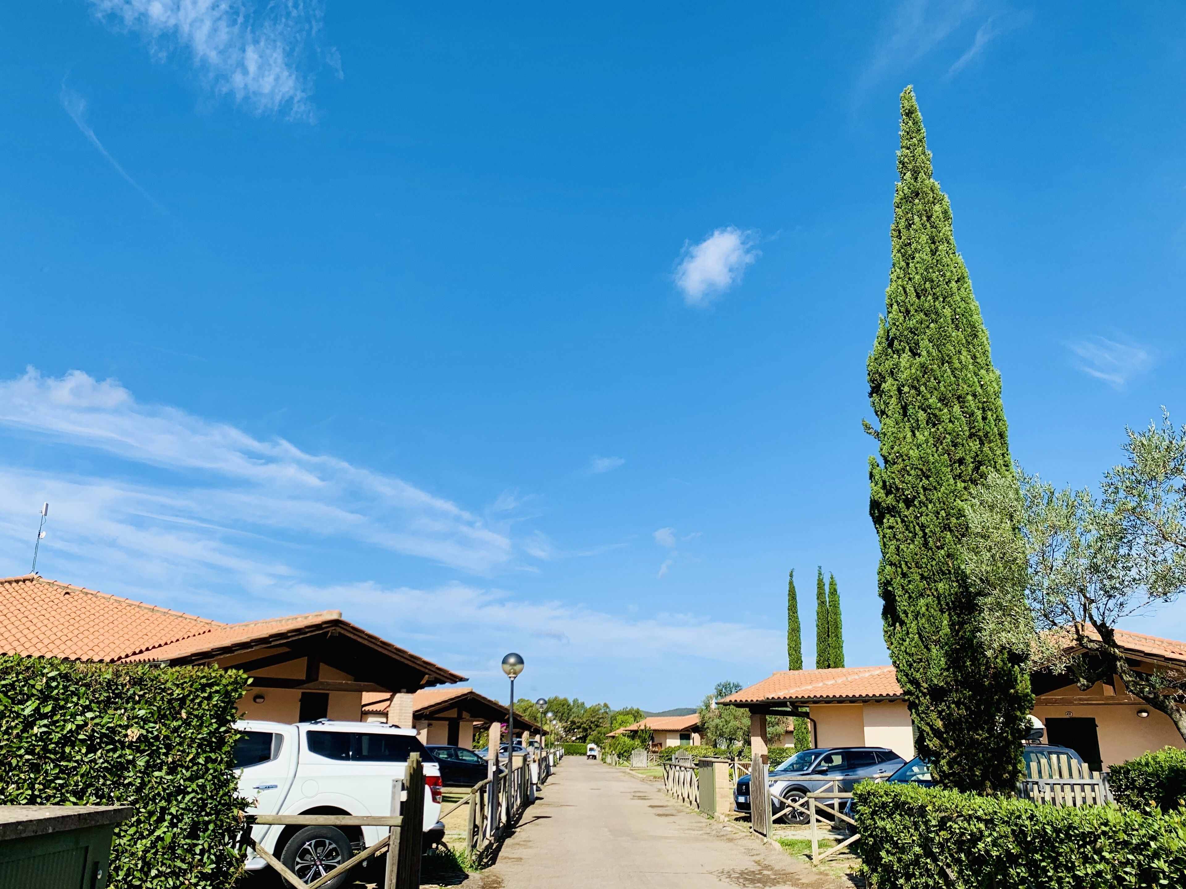 A row of single-story buildings with tiled roofs, parked cars, and a tall, slender tree in the foreground.