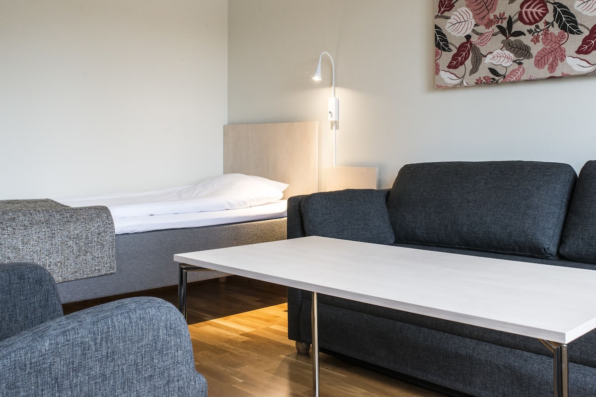 Una habitación moderna con un sofá gris, una mesa blanca y una cama con cabecera blanca.