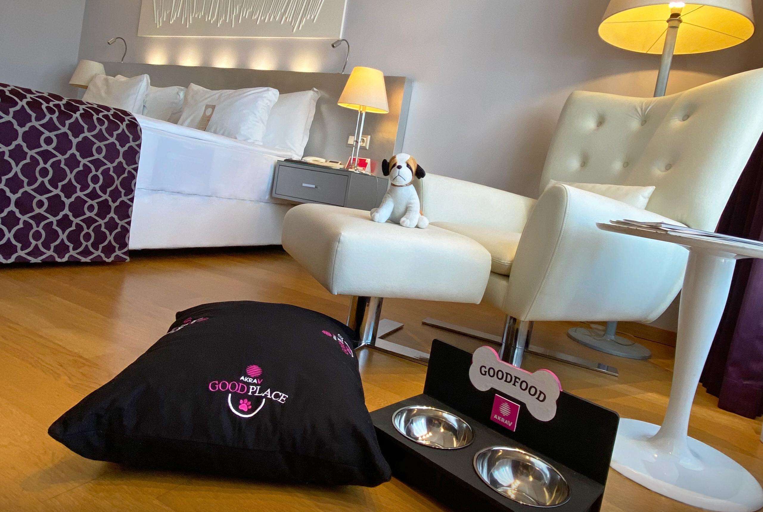 Animaux de compagnie acceptés