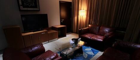 42-inch TV with satellite channels, fireplace, DVD player