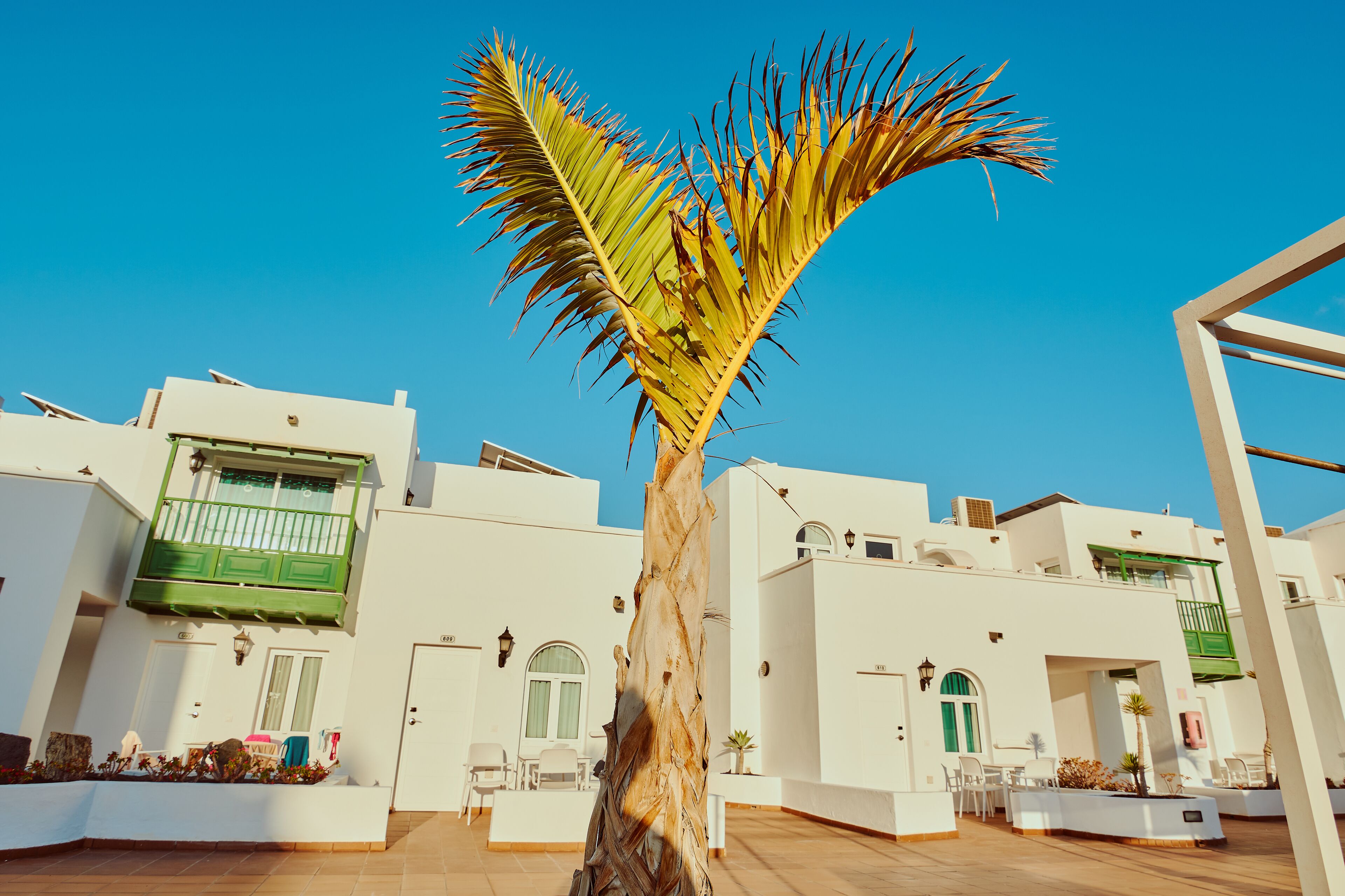Un edificio moderno con paredes blancas, balcones verdes y una palmera al frente.