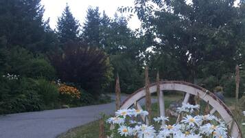Un jardin agrémenté de marguerites blanches et d’une structure en forme de roue au style rustique.