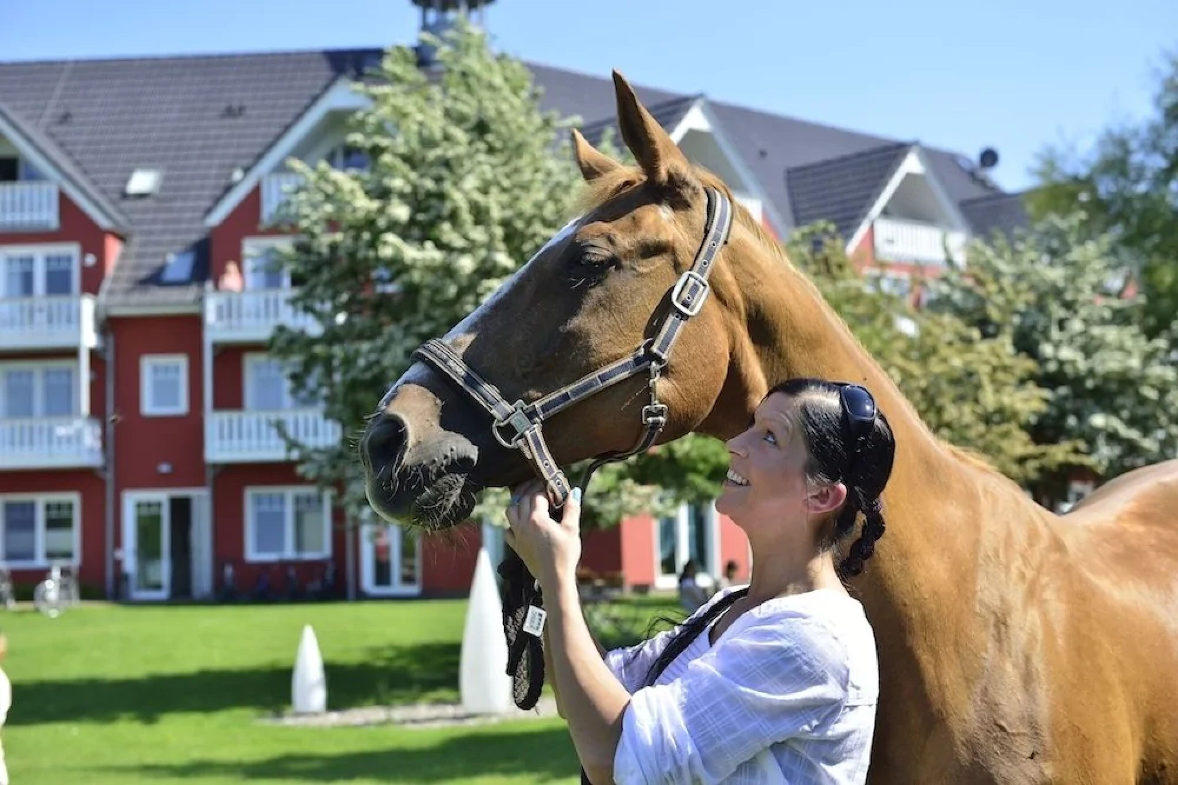 Iemand die met een paard omgaat in een woonwijk met rode bakstenen huizen en een gazon.