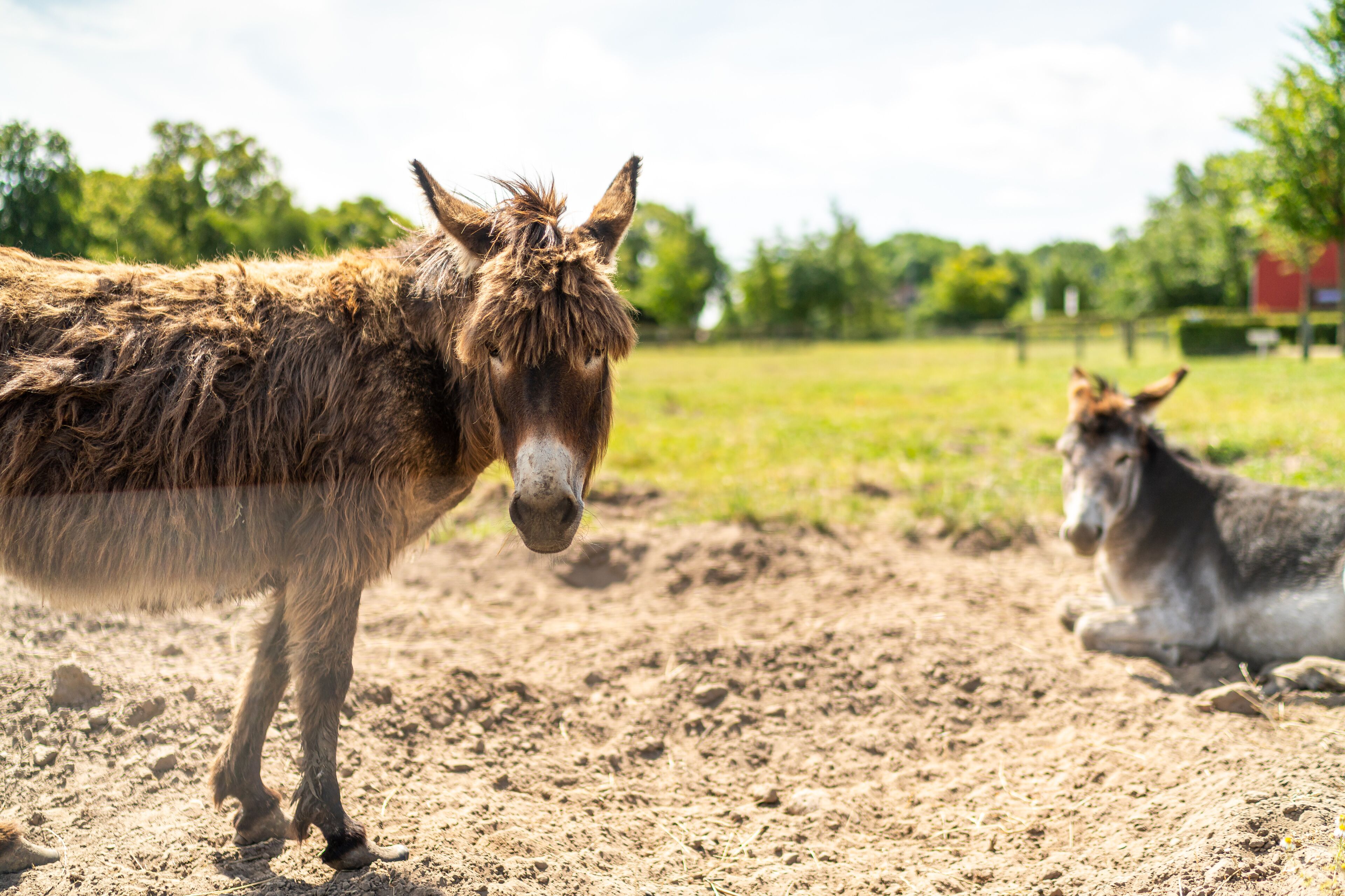 children’s activities