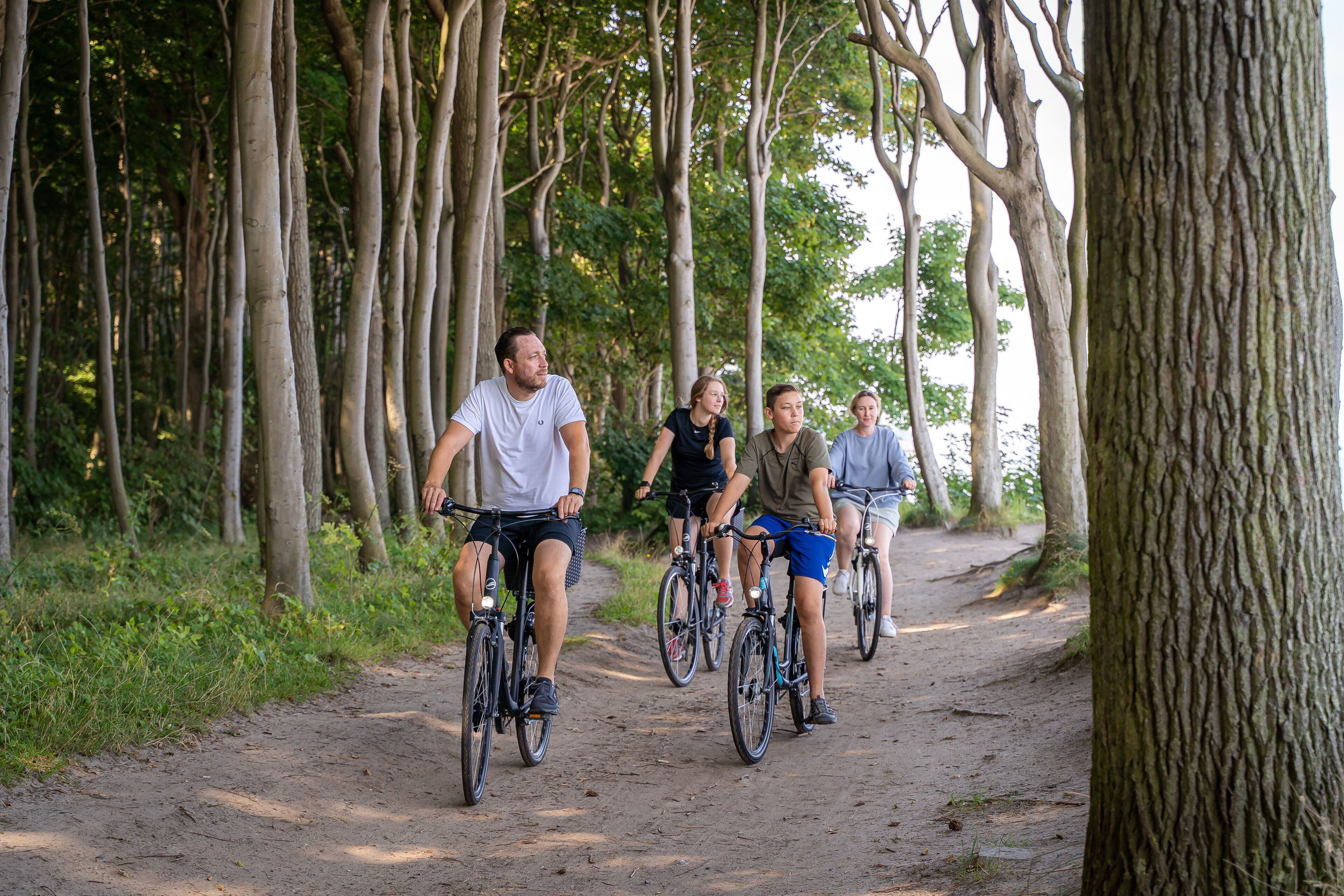Un grupo de personas montando en bicicleta por un sendero de tierra rodeado de árboles.