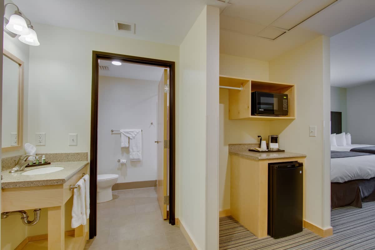 A hotel bathroom with a sink, toilet, and shower. There is a microwave on a shelf above the sink.