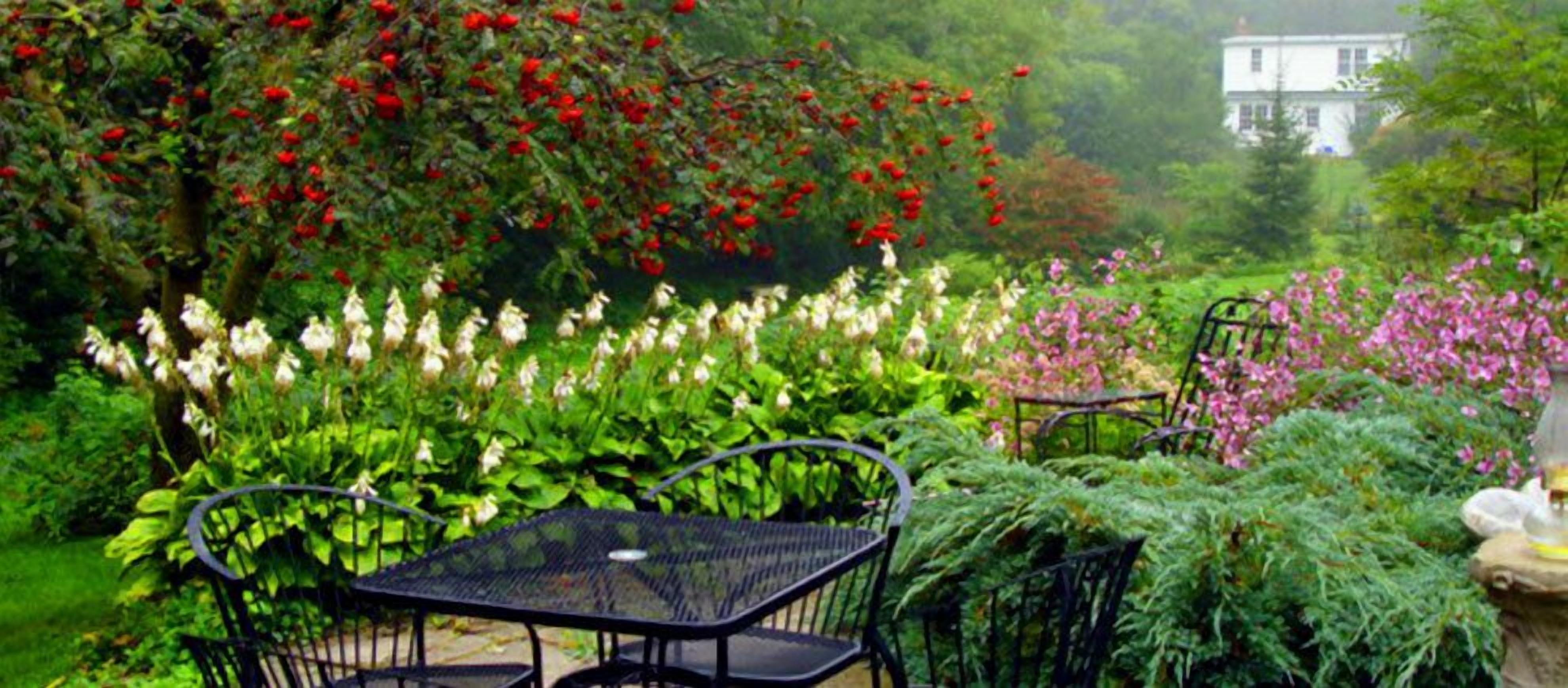 Vista desde la propiedad