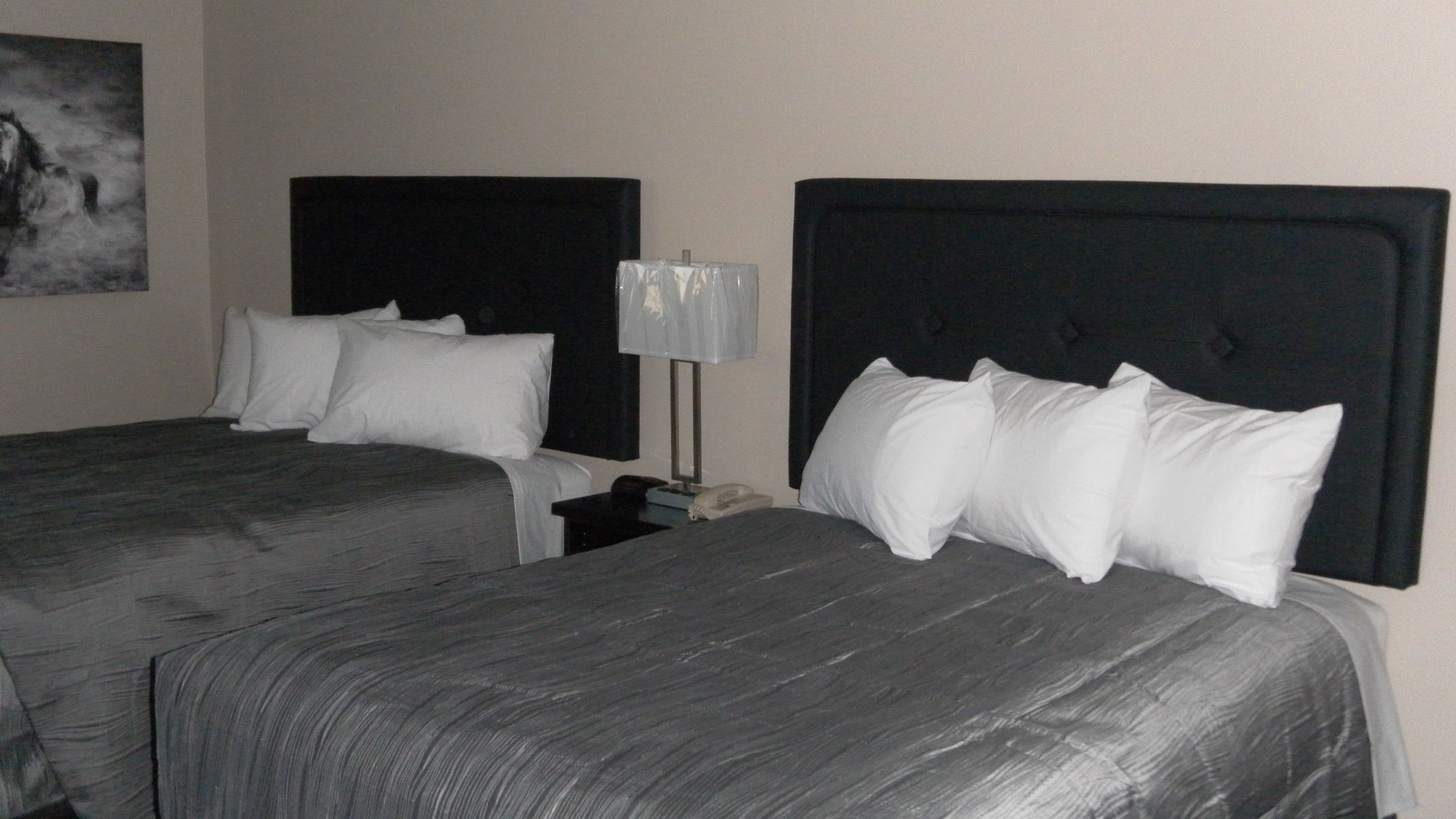 double room, 2 queen beds | premium bedding, desk, blackout curtains, free wifi