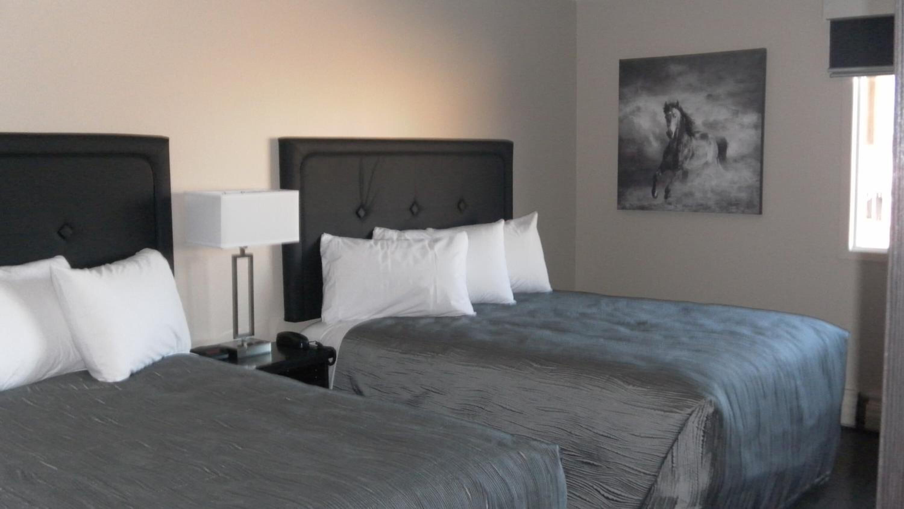 premium bedding, desk, blackout curtains, free wifi