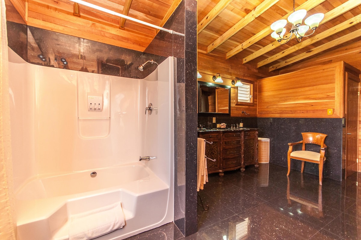 royal suite - river view | bathroom shower