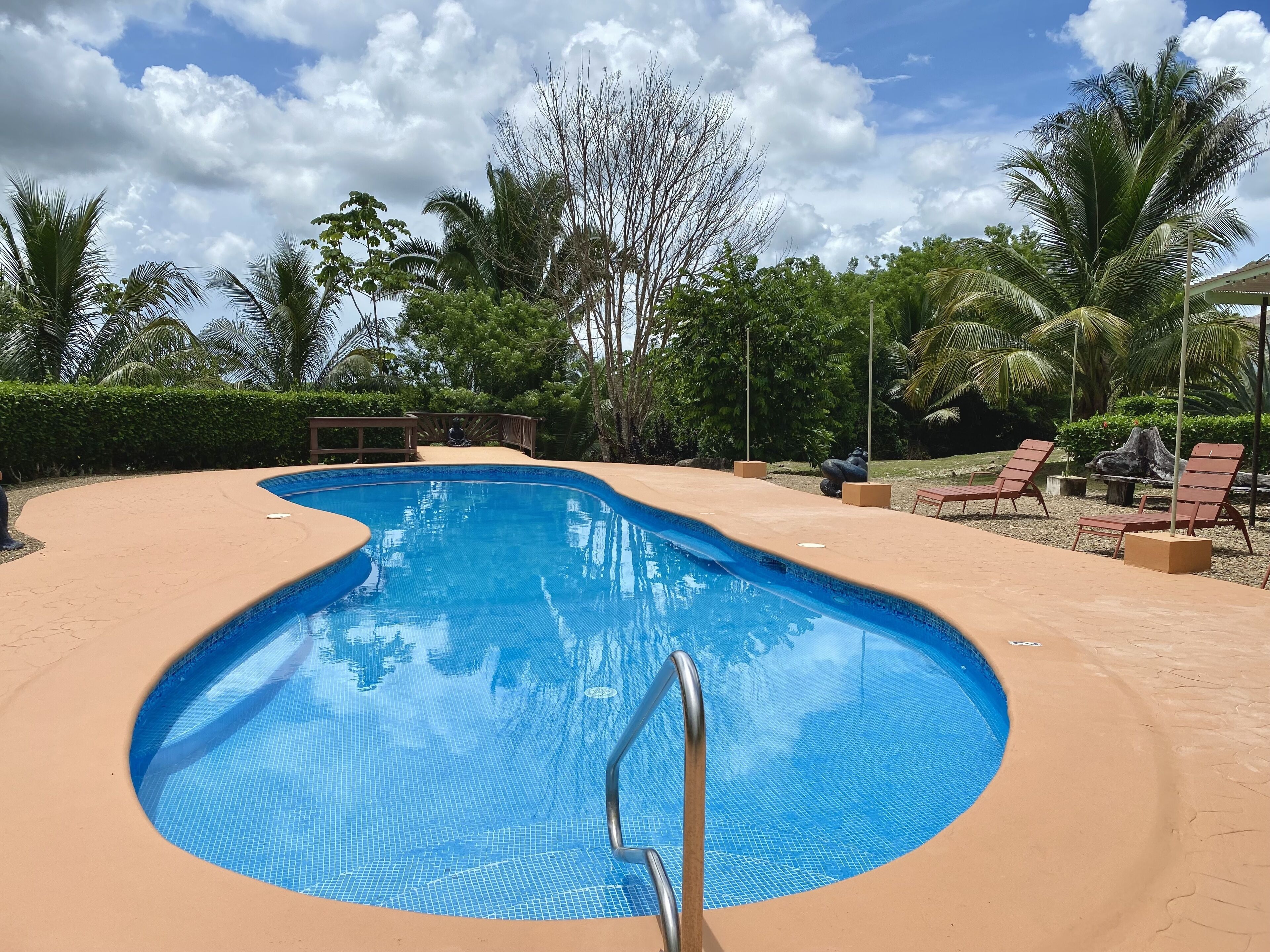 A swimming pool with a metal ladder, surrounded by palm trees and lounge chairs.