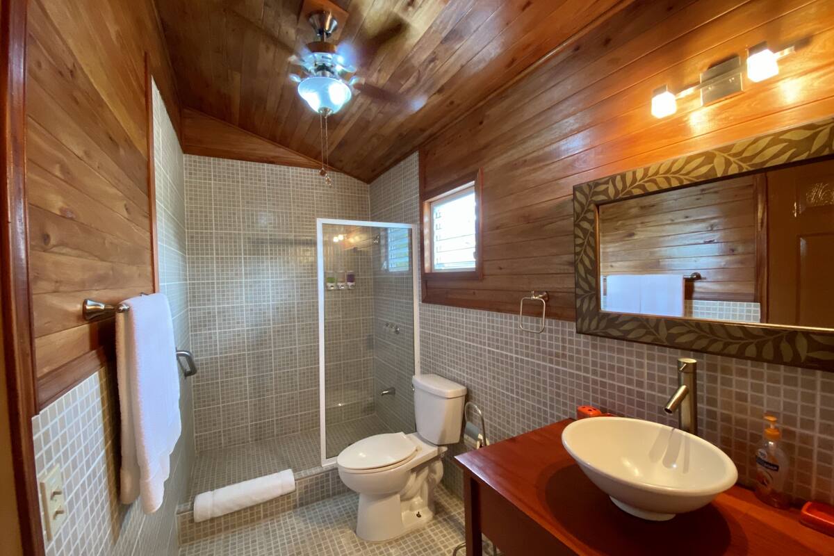 Cabezal de ducha tipo lluvia, artículos de tocador gratuitos